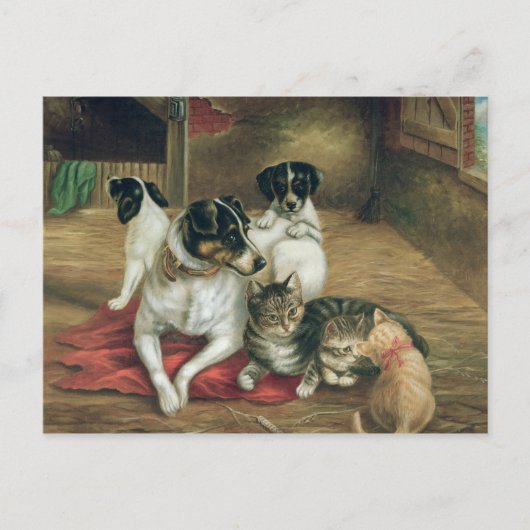 Stable Freunde Postkarte (Vorderseite)