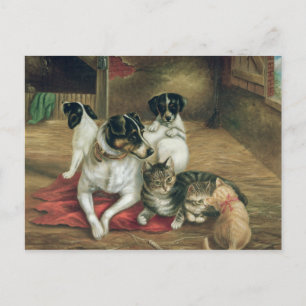 Stable Freunde Postkarte