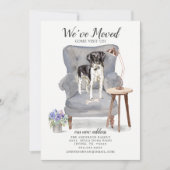 Stabyhoun | Ankündigung der Beförderung (Vorderseite)