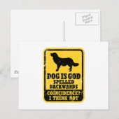 Stabyhoun Postkarte (Vorne/Hinten)