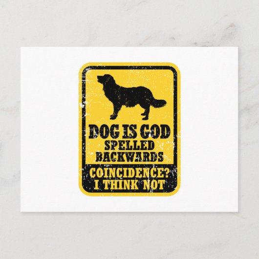 Stabyhoun Postkarte (Vorderseite)