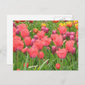 Stacey’s Floral Design’s Postkarte (Vorne/Hinten)