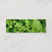 Staceys Blumenmusters Mini Visitenkarte (Rückseite)