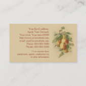 Stachelbeerbirnen-Fruchtverkäufe Visitenkarte (Rückseite)