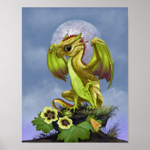 Stachelbeere Drache 11x14 (4x6 und höher) Poster