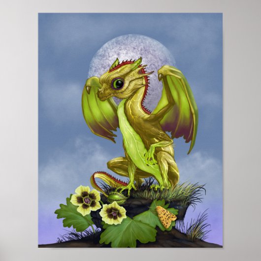 Stachelbeere Drache 11x14 (4x6 und höher) Poster (Vorne)