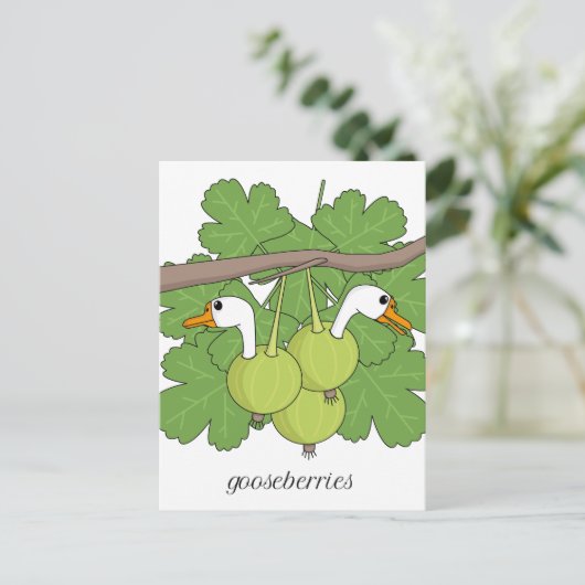 Stachelbeeren Postkarte (Stehend Vorderseite)