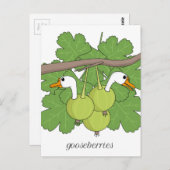 Stachelbeeren Postkarte (Vorne/Hinten)