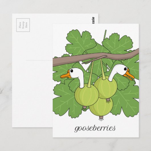 Stachelbeeren Postkarte (Vorne/Hinten)