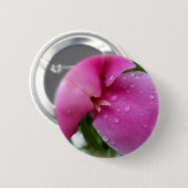 Stachelblatt im Regen Button (Vorne & Hinten)