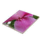 Stachelblatt im Regen Fliese (Seite)
