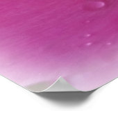 Stachelblatt im Regen Poster (Ecke)