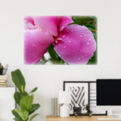 Stachelblatt im Regen Poster (Heimbüro)