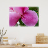 Stachelblatt im Regen Poster (Küche)