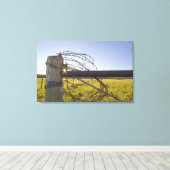 Stacheldraht aufgerollt auf Fencerow in der Nähe Leinwanddruck (Insitu (Holzboden))