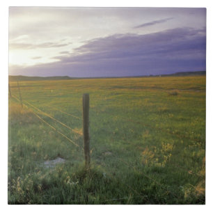 Stacheldraht Fenceline im Nordosten von Montana Fliese
