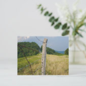 Stacheldraht Fencepost Postkarte (Stehend Vorderseite)