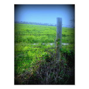 Stacheldraht Fotodruck