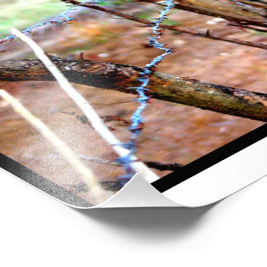 Stacheldraht Fotodruck (Ecke)