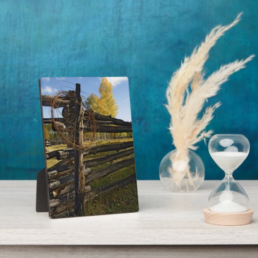 Stacheldraht Fotoplatte (Seite)