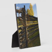 Stacheldraht Fotoplatte (Seite)