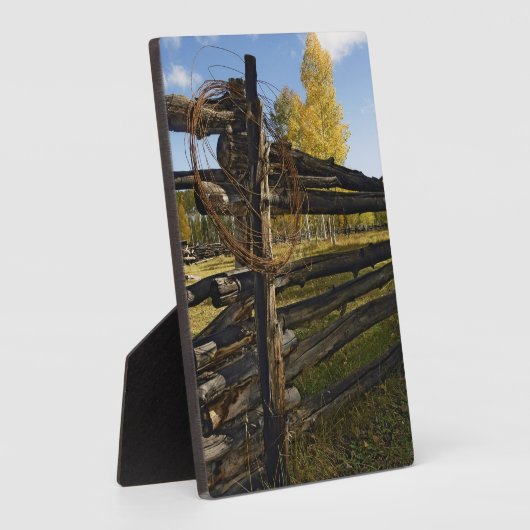 Stacheldraht Fotoplatte (Seite)