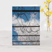 Stacheldraht Karte (Gelbe Blume)