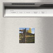 Stacheldraht Magnet (In Situ (Geschirrspüler))