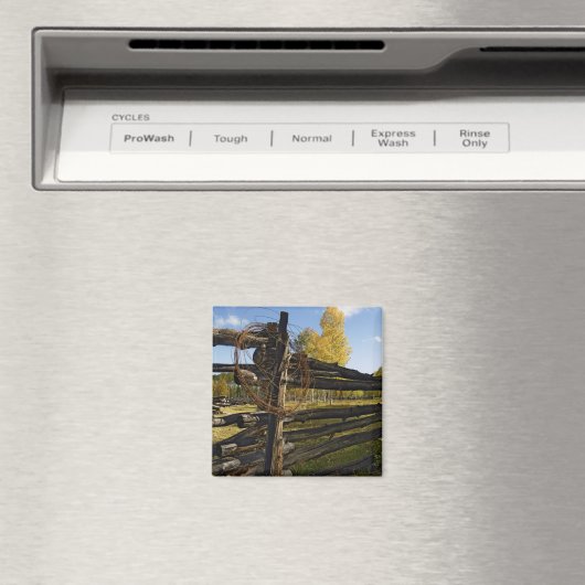 Stacheldraht Magnet (In Situ (Geschirrspüler))