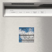 Stacheldraht Magnet (In Situ (Geschirrspüler))