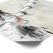 Stacheldraht mit rostfreiem Nagel Fotodruck (Ecke)