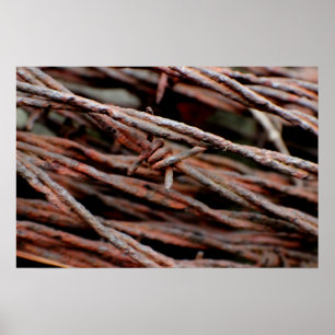 Stacheldraht Poster