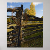 Stacheldraht Poster (Vorne)