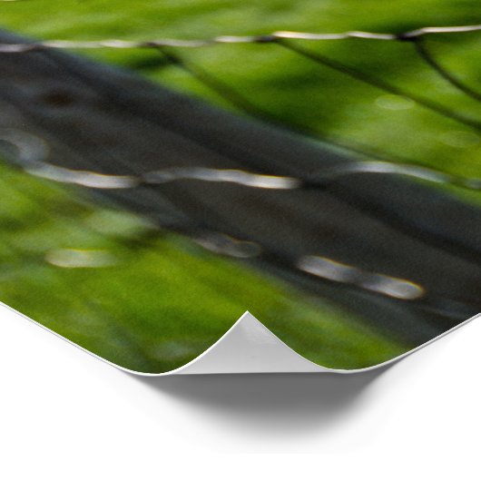 Stacheldraht Poster (Ecke)