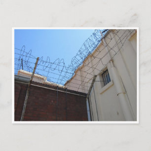 Stacheldraht Postkarte