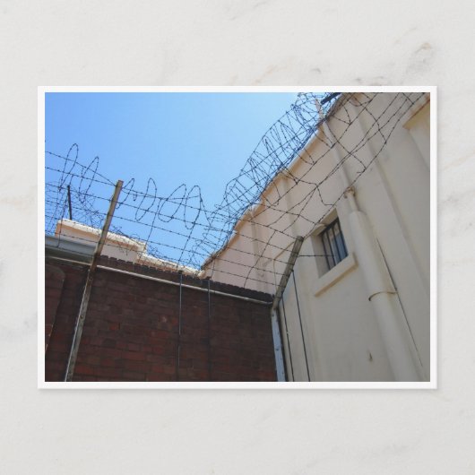 Stacheldraht Postkarte (Vorderseite)