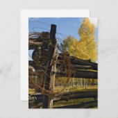 Stacheldraht Postkarte (Vorne/Hinten)