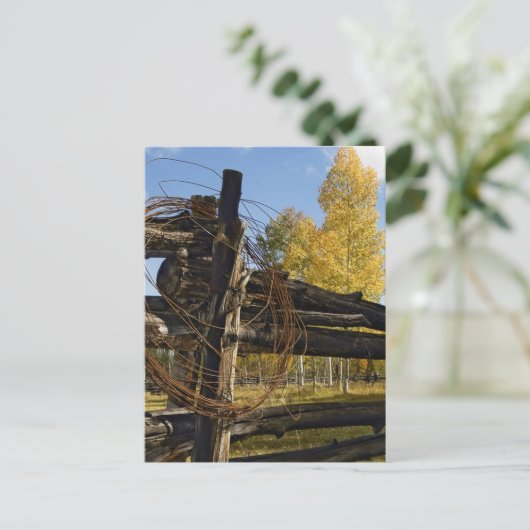 Stacheldraht Postkarte (Stehend Vorderseite)