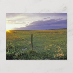 Stacheldrahtzaun in nordöstlichen Montana Postkarte