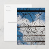 Stacheldrahtzaun Postkarte (Vorne/Hinten)