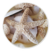 Stachelfische und Silberne Dollar Keramik Keramikknauf (Vorderseite)