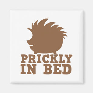 stachelig im Bett Magnet