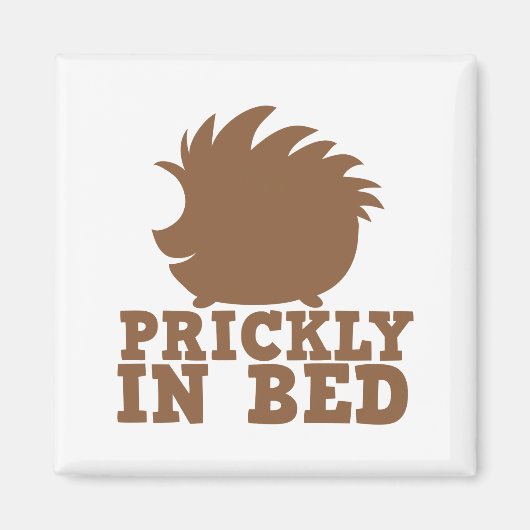 stachelig im Bett Magnet (Vorne)