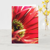 Stachelige rote karte (Gelbe Blume)
