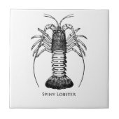 Stacheliger Hummer (Kalifornien) Fliese (Vorderseite)