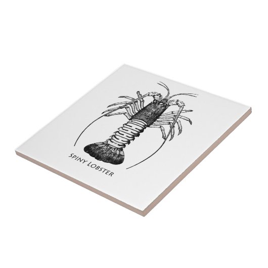 Stacheliger Hummer (Kalifornien) Fliese (Seite)