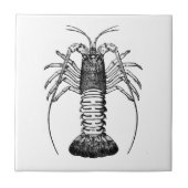 Stacheliger Hummer (Kalifornien) Fliese (Vorderseite)