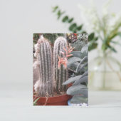 Stacheliger Kaktus Postkarte (Stehend Vorderseite)
