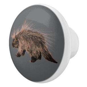 Stacheliger Porky Keramikknauf
