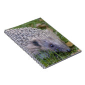Stacheln Notizbuch Notizblock (Rechte Seite)